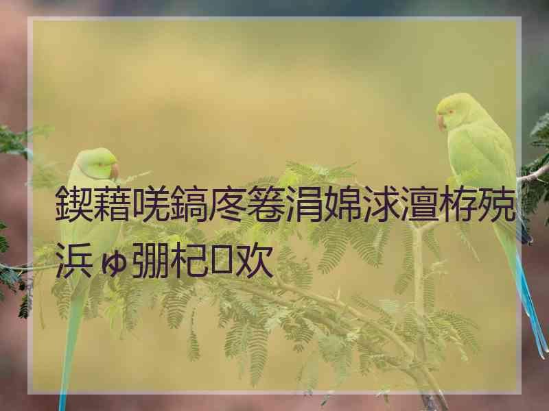 鍥藉唴鎬庝箞涓婂浗澶栫殑浜ゅ弸杞欢