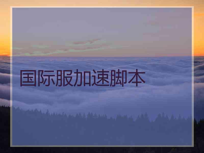 国际服加速脚本