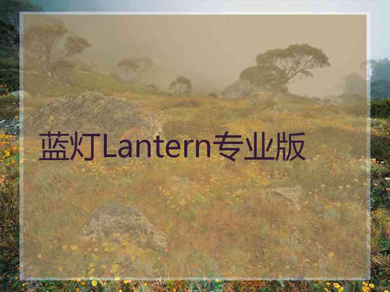 蓝灯Lantern专业版