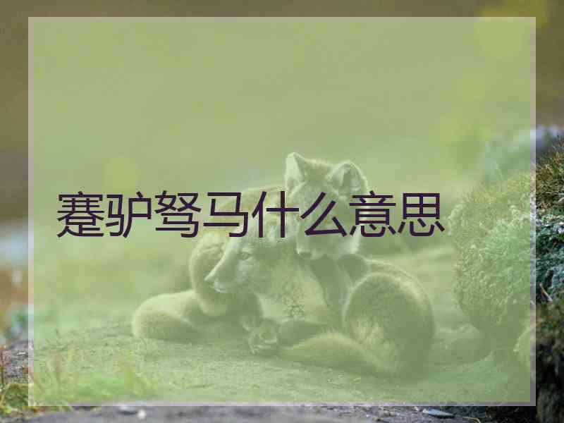 蹇驴驽马什么意思