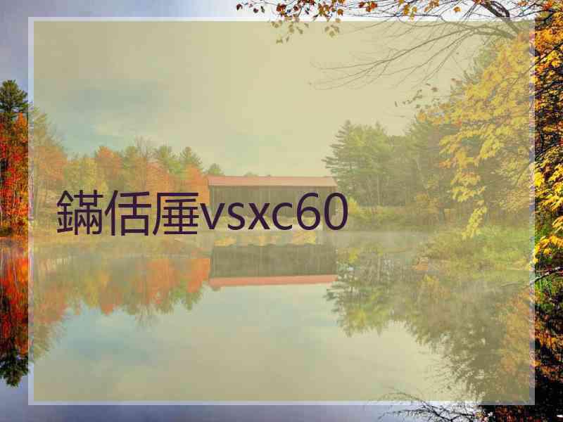 鏋佸厜vsxc60