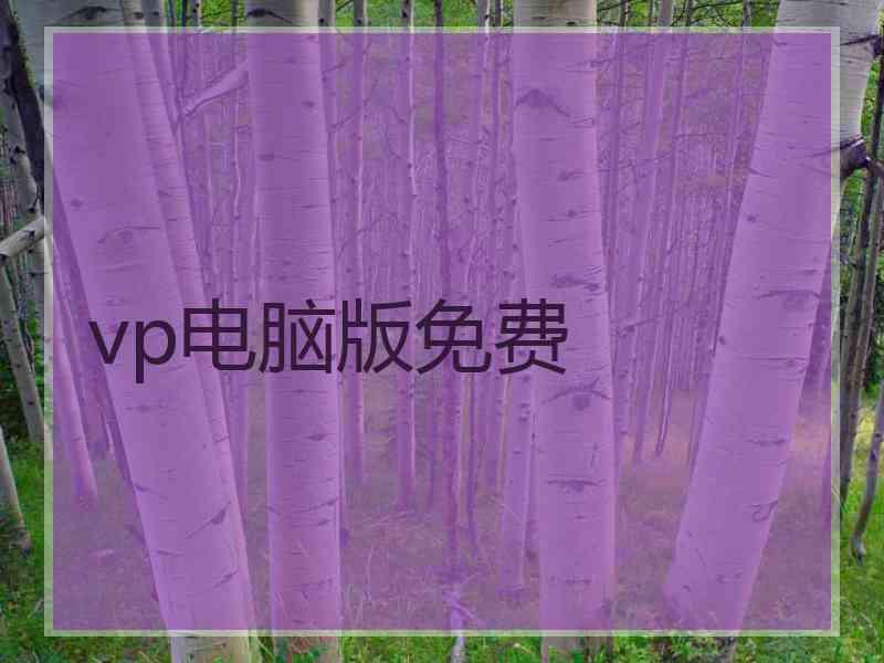 vp电脑版免费