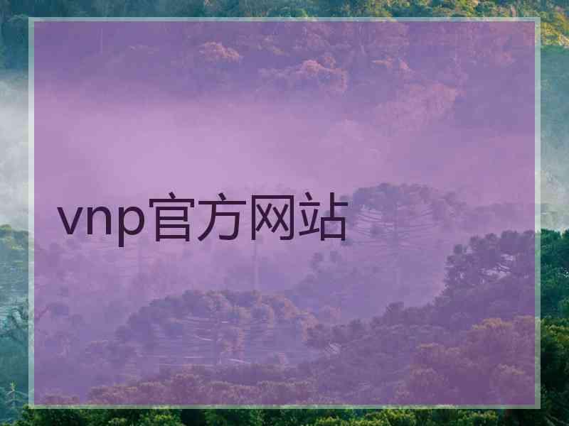 vnp官方网站