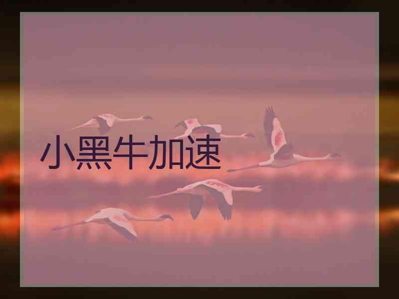 小黑牛加速