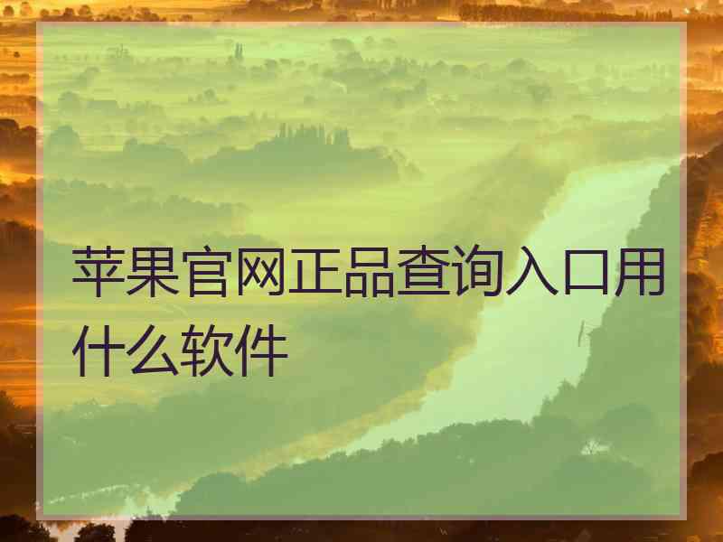 苹果官网正品查询入口用什么软件
