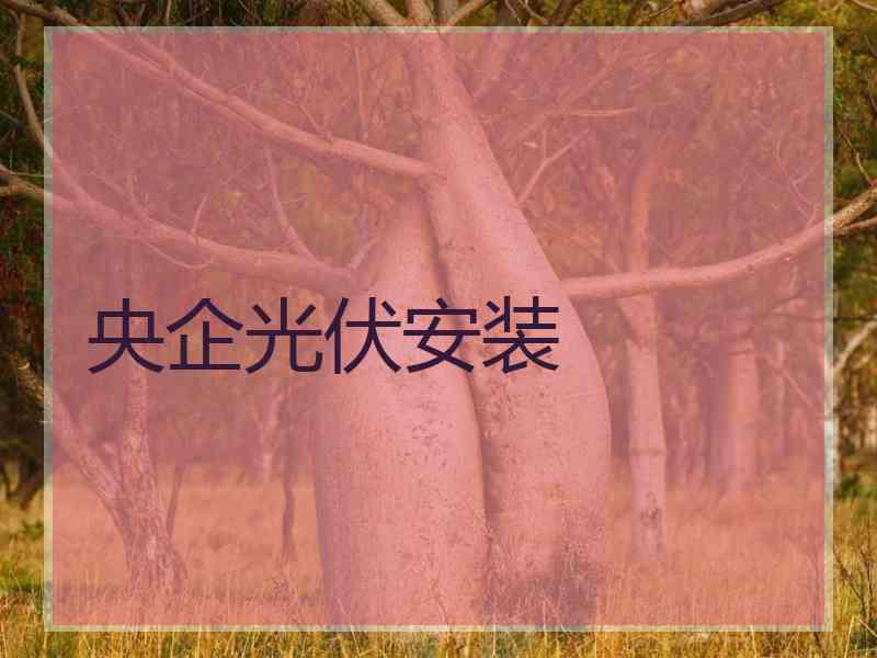央企光伏安装