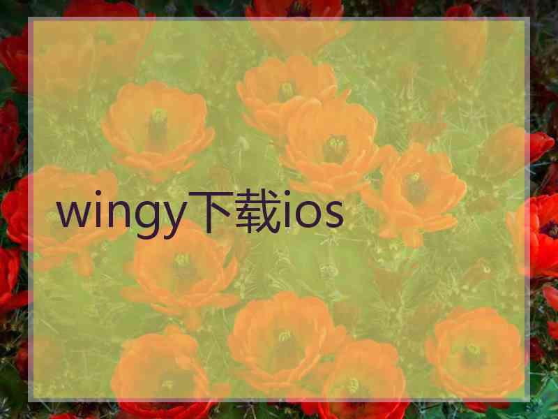 wingy下载ios