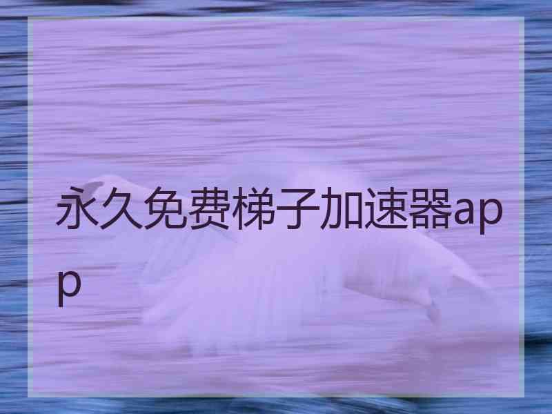 永久免费梯子加速器app