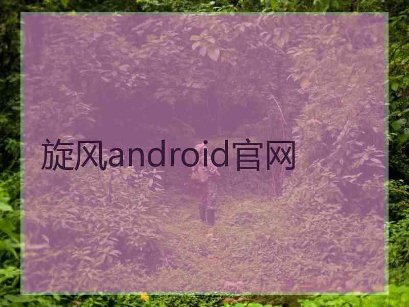 旋风android官网