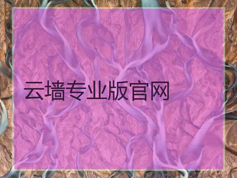 云墙专业版官网