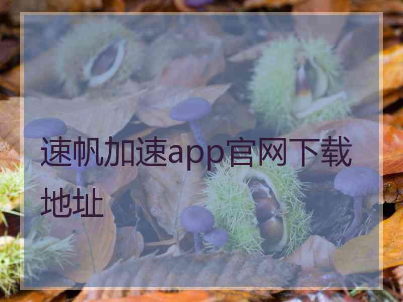 速帆加速app官网下载地址