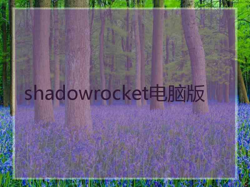 shadowrocket电脑版