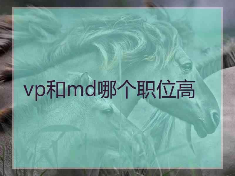 vp和md哪个职位高