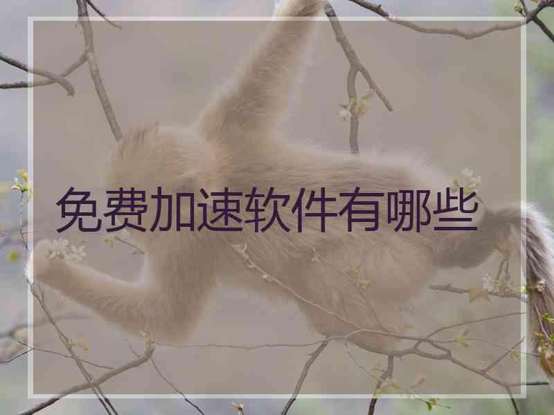 免费加速软件有哪些