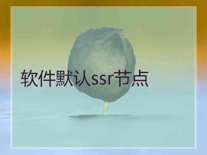 软件默认ssr节点