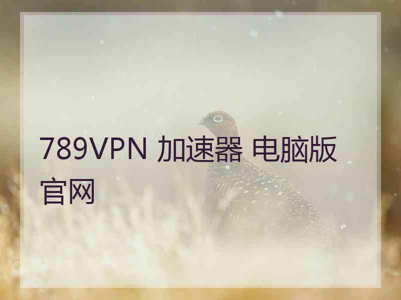 789VPN 加速器 电脑版 官网