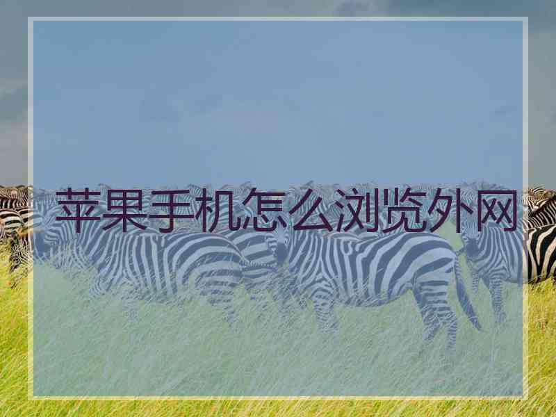 苹果手机怎么浏览外网