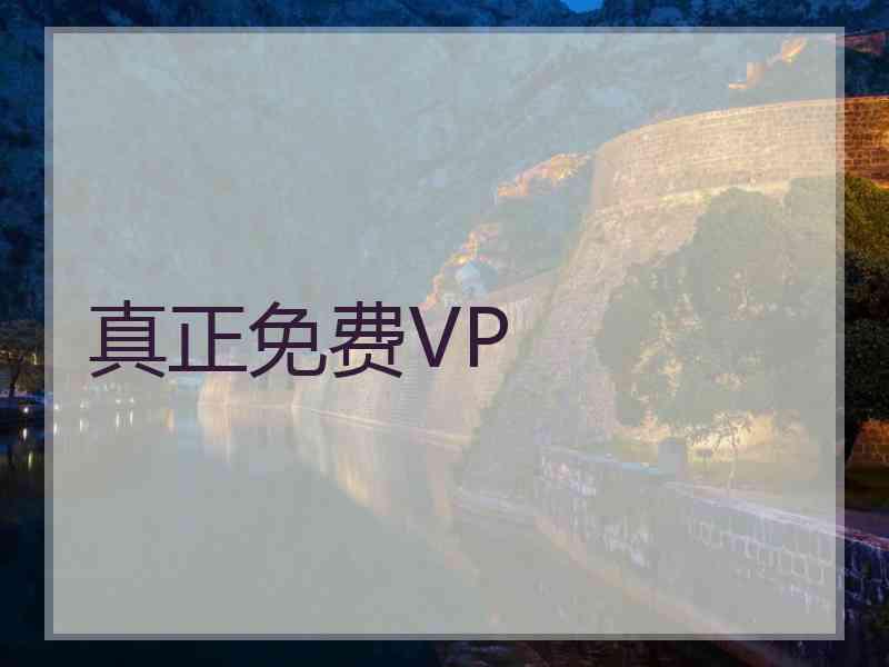 真正免费VP