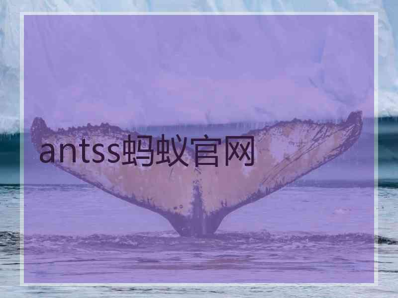 antss蚂蚁官网