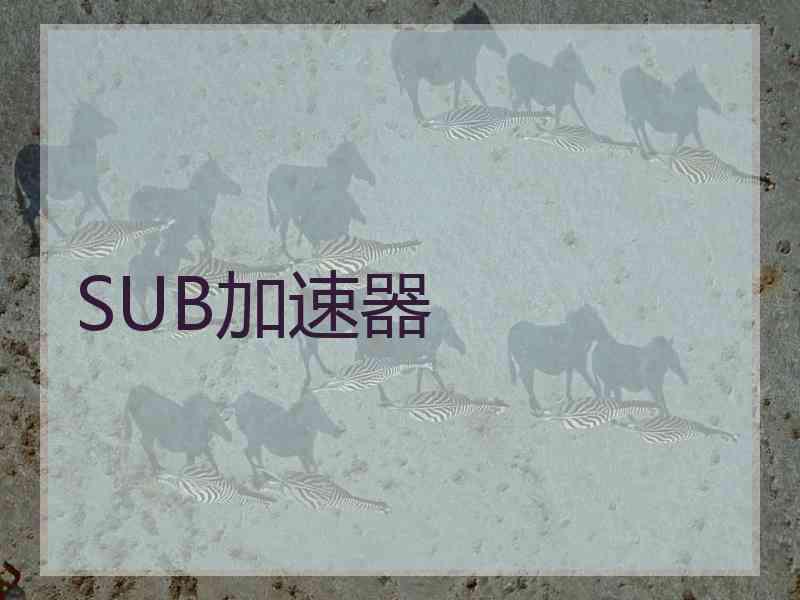 SUB加速器