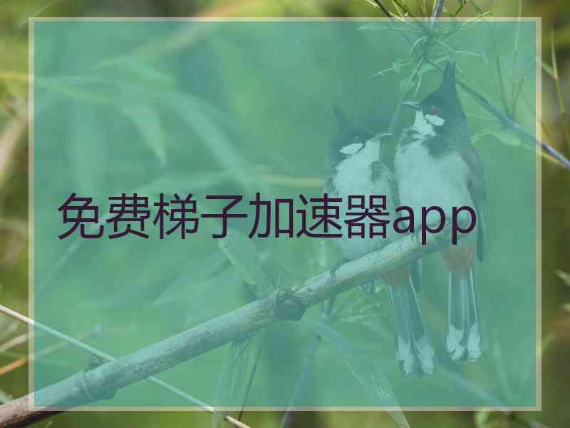 免费梯子加速器app