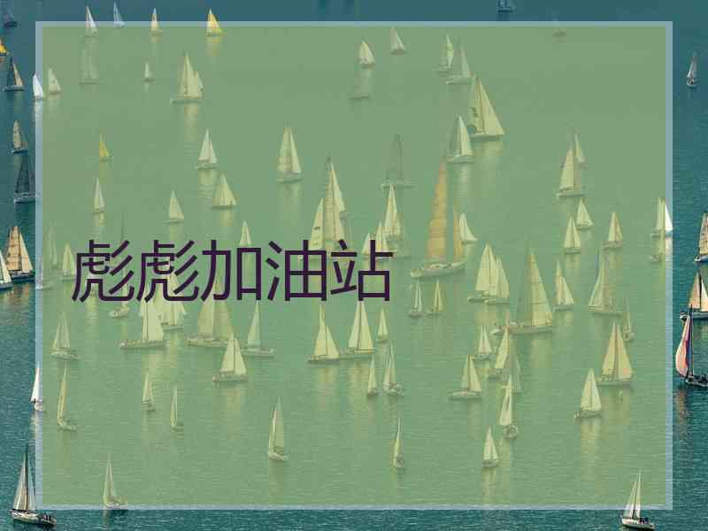 彪彪加油站