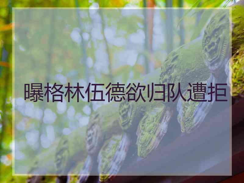 曝格林伍德欲归队遭拒