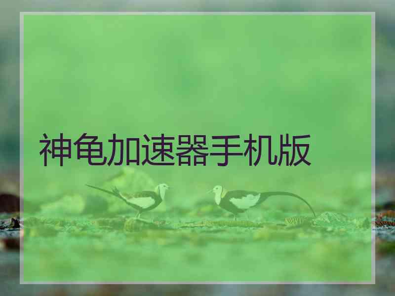 神龟加速器手机版