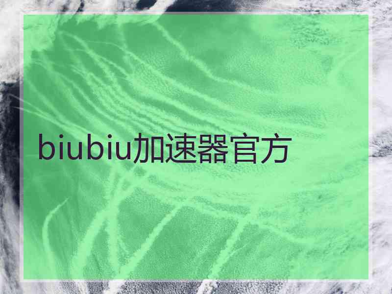 biubiu加速器官方