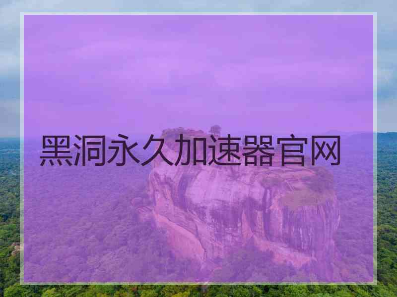 黑洞永久加速器官网