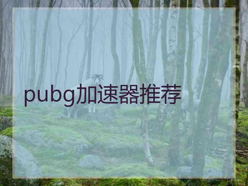 pubg加速器推荐