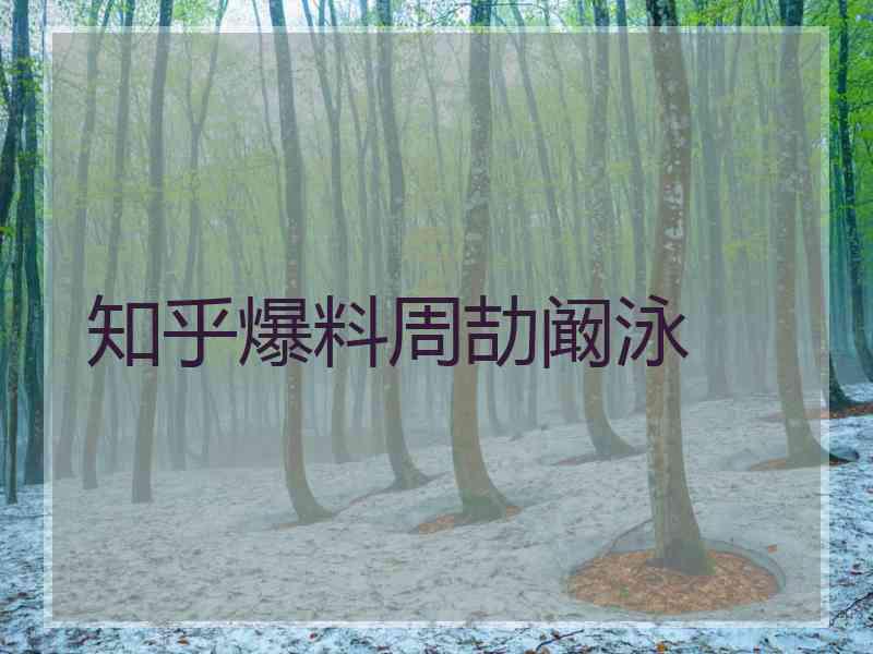 知乎爆料周劼阚泳