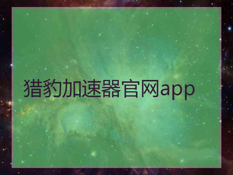 猎豹加速器官网app