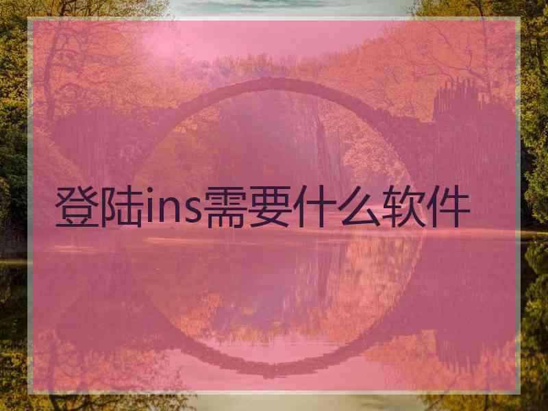 登陆ins需要什么软件