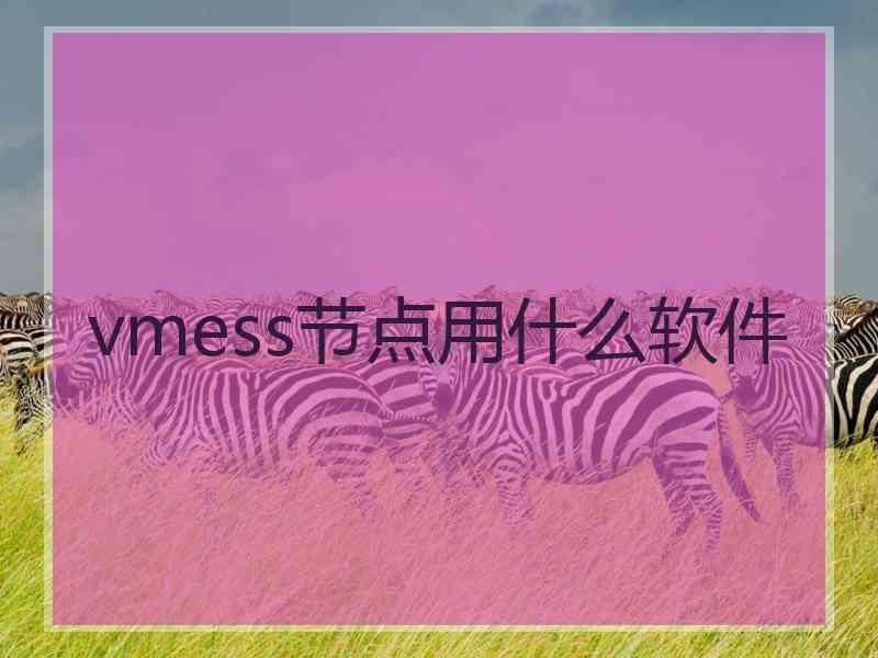 vmess节点用什么软件