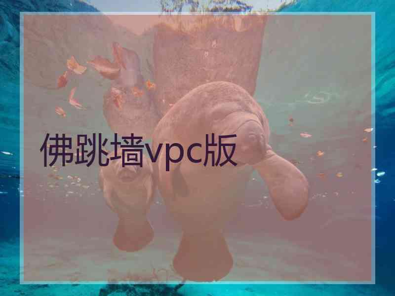 佛跳墙vpc版