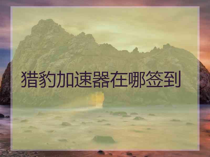 猎豹加速器在哪签到