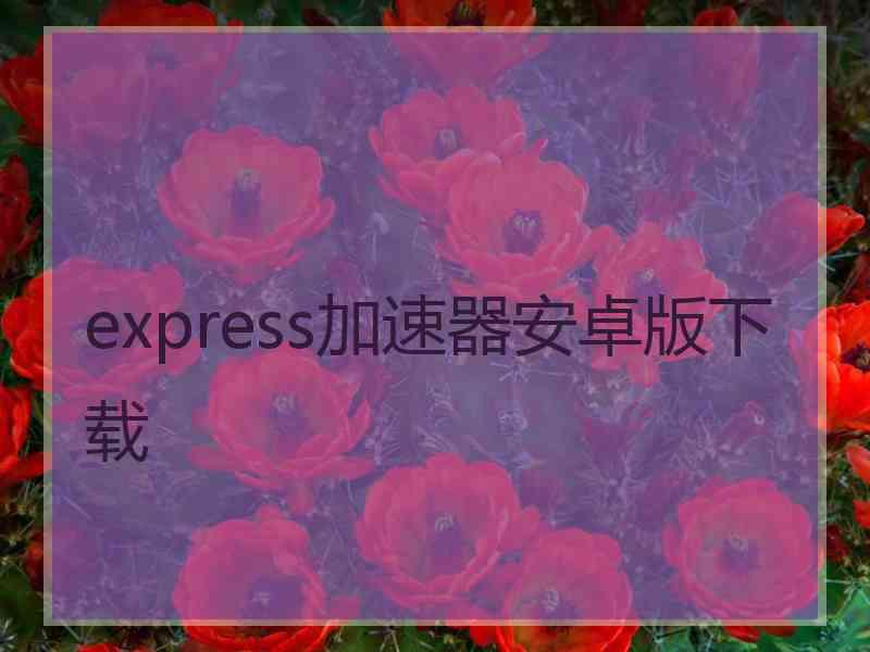 express加速器安卓版下载