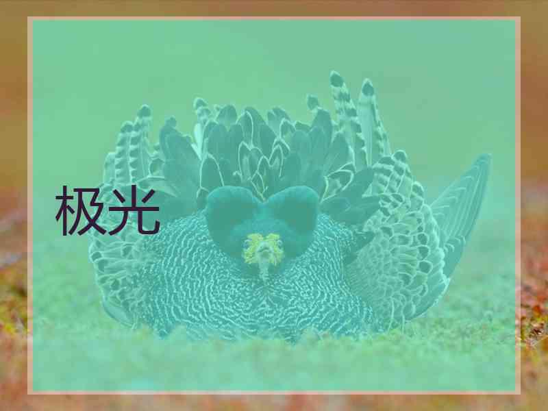 极光