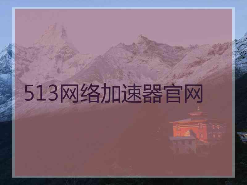 513网络加速器官网