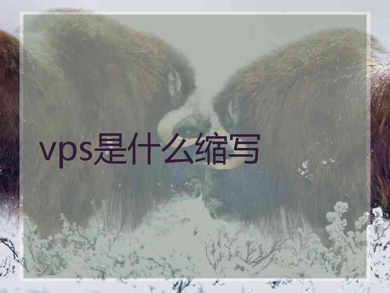 vps是什么缩写