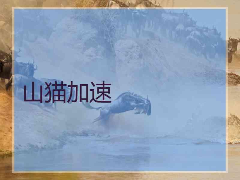 山猫加速