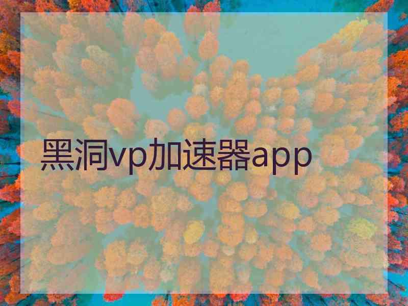 黑洞vp加速器app