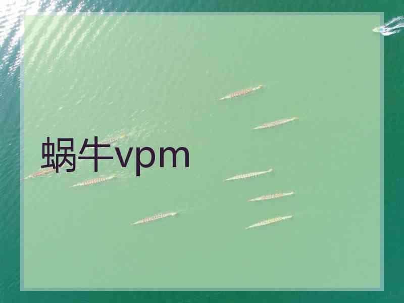 蜗牛vpm