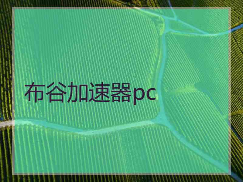 布谷加速器pc