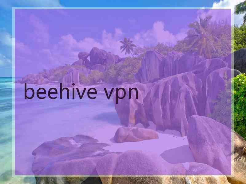 beehive vpn