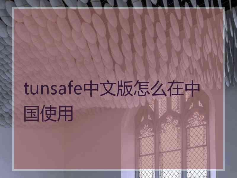 tunsafe中文版怎么在中国使用