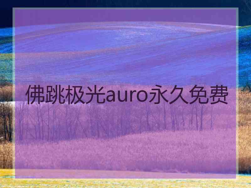 佛跳极光auro永久免费