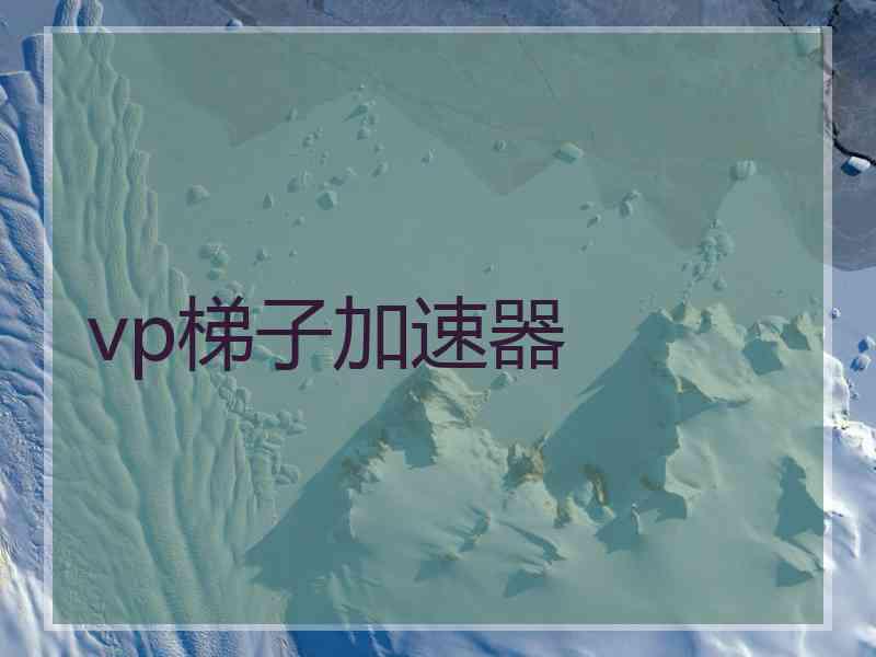 vp梯子加速器