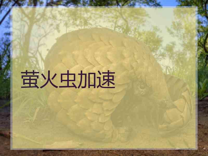 萤火虫加速